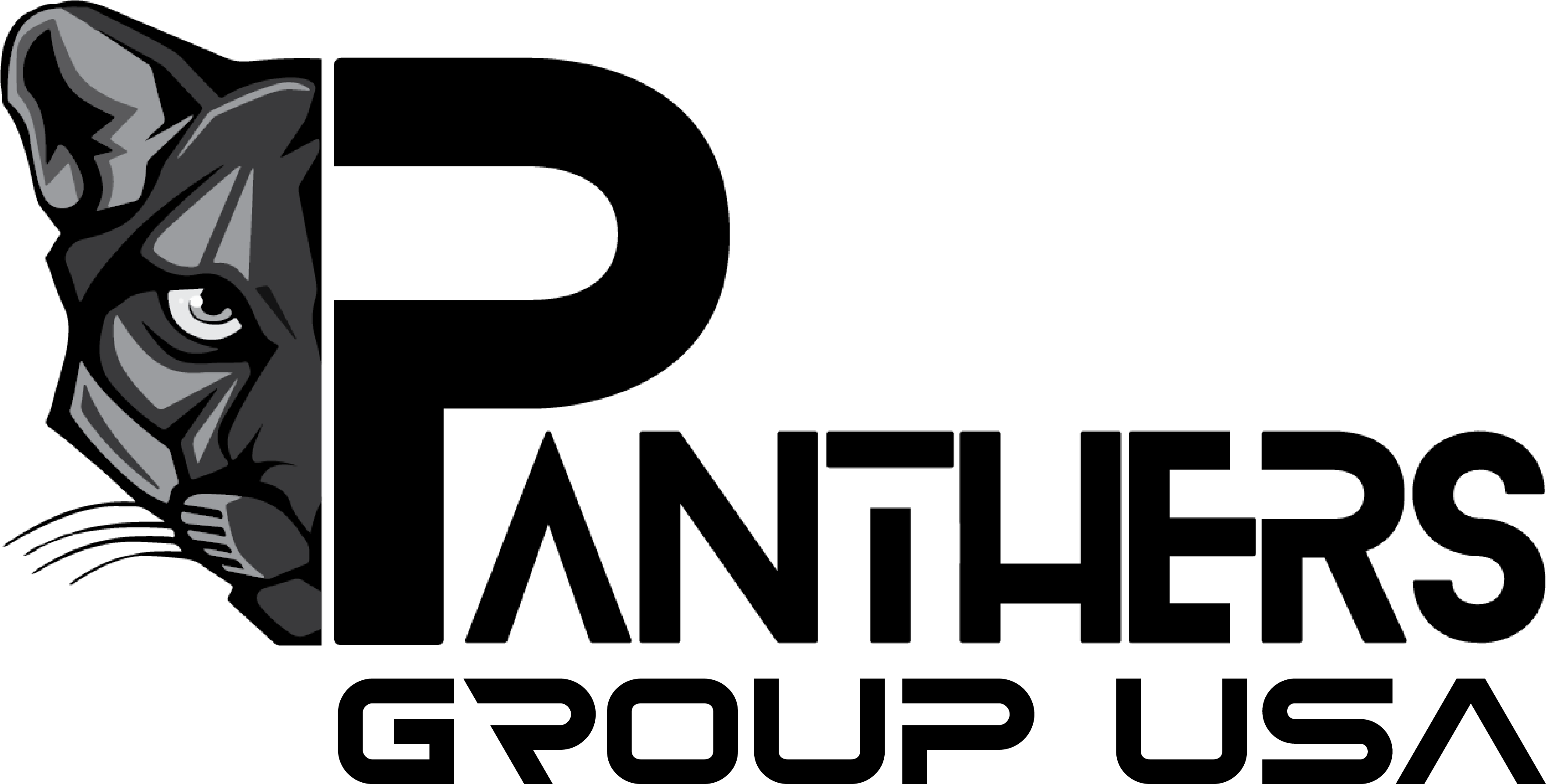 Panthers partner logo